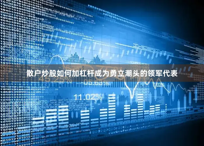 散户炒股如何加杠杆成为勇立潮头的领军代表
