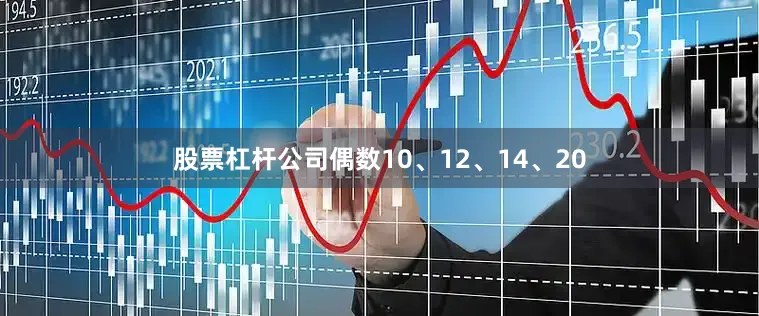 股票杠杆公司偶数10、12、14、20