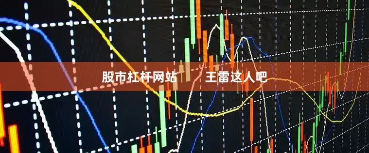 股市杠杆网站        王雷这人吧