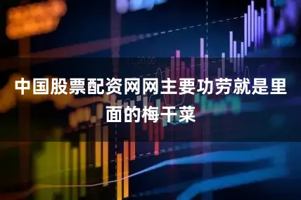 中国股票配资网网主要功劳就是里面的梅干菜